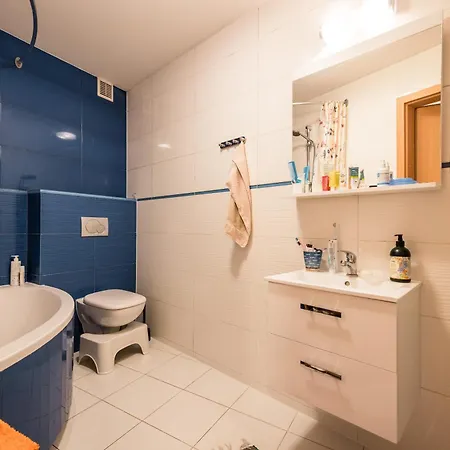 Apartmán Garden Podgorze Wawelofts